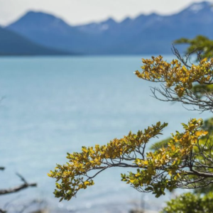Patagonia - luty 2016