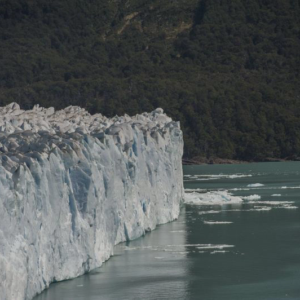 Patagonia - luty 2016