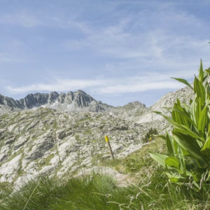 Pireneje - lipiec 2015