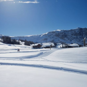 Alpe di Siusi - luty 2014