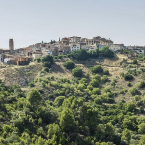 Priorat - lipiec 2015