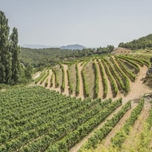 Priorat - lipiec 2015