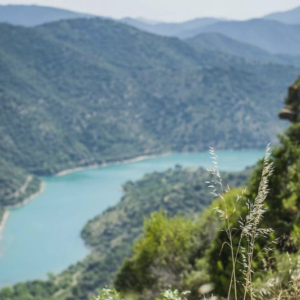 Priorat - lipiec 2015